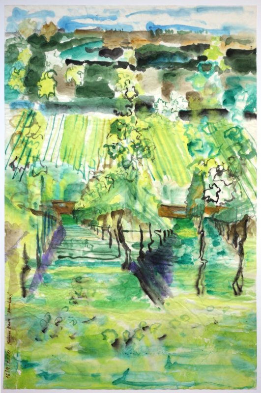 Marina Haas WEINBERG