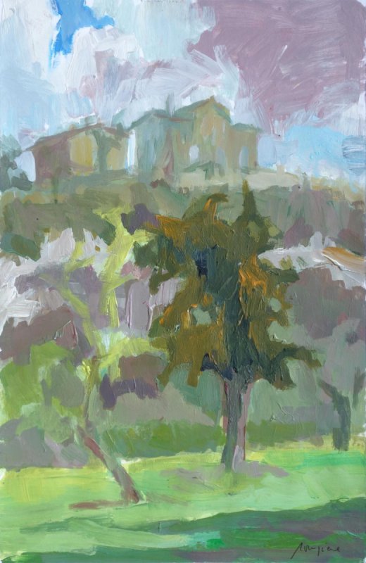 Patrice Rouziere WOLKENINVASION